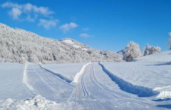 Landhaus Eibelesee - Foto 56