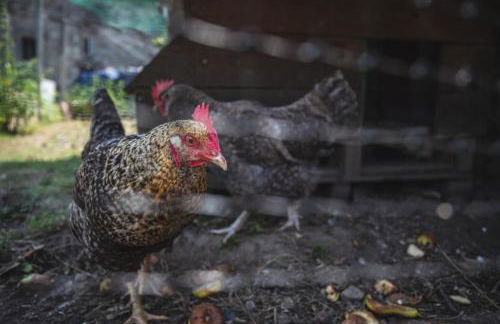 La Casa de Consuelo 3 - Foto 32