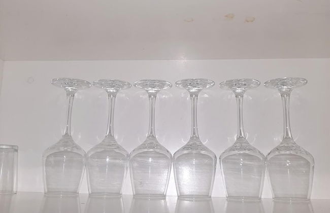 Bula Bliss - Photo 32