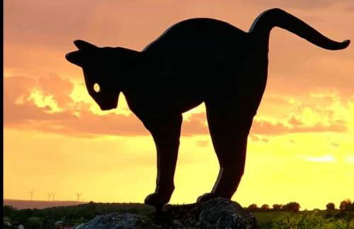 Ferienwohnung Simone - Foto 14