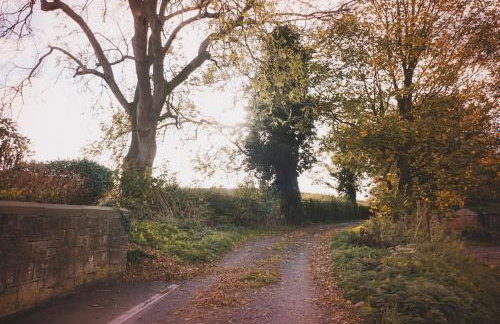 The Iron Chapel - Foto 4