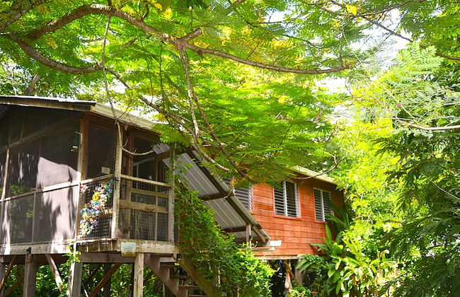Family Treehouse Retreat Cozy Cabin in Tropical Gardens, Minutes From Ruins - Foto 21