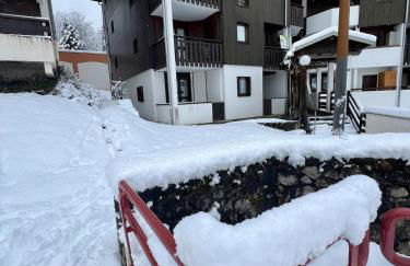 Le LODGE Les Esserts 1100 Morillon - Foto 2