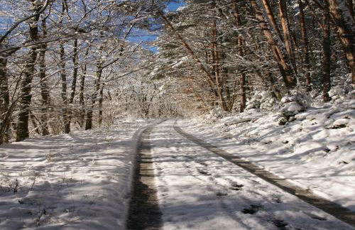 Ruckzugsort in Mossautal-huttenthal - Foto 70