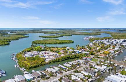 Navy Flamingo - Foto 18