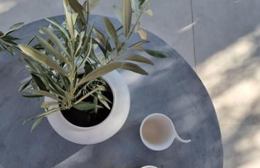 Stone build suite with private pool - Foto 24