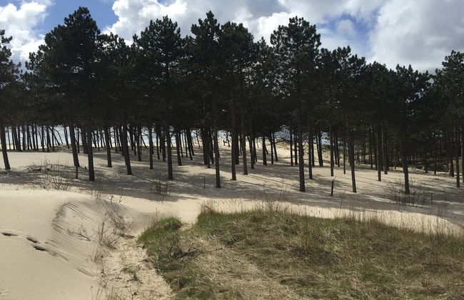 House in Schoorl Near Dunes and Beach - Photo 41
