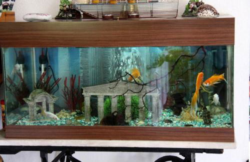 Hotel Mary - Foto 40