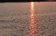 Le clos des anges - Foto 42