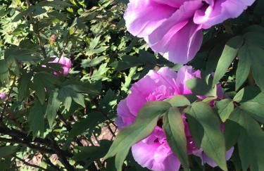 Residenza Ambrogi - Foto 38