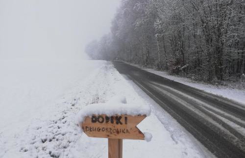 Domki całoroczne DŁUGOSZÓWKA pod Rzeszowem, Jacuzzi-Sauna-Basen-Alpaki - Foto 35