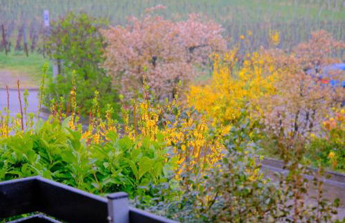 Ferienweingut Wissing Wohnung Theo - Foto 4