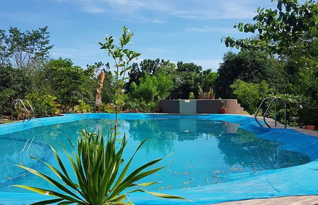 Wonderfarm Villa - Foto 24