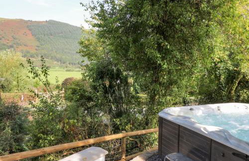 The Coach House at Plas Dolguog - Foto 37