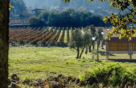 Solar de Serrade - Foto 22