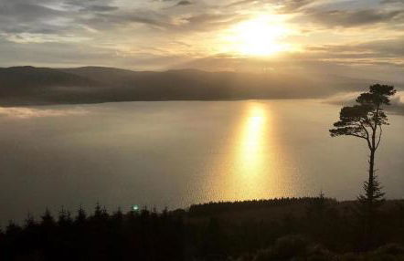 Tanglewood Stays - Foto 68