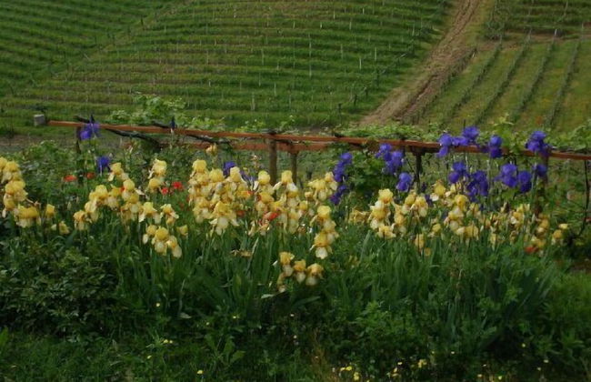 Casa Isabella - Foto 45