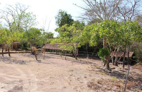 Hotel Fazenda Arara Azul - Foto 22