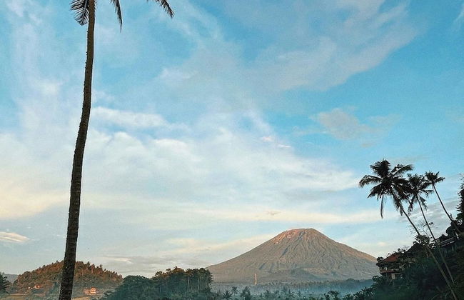 Villa Di Bias - Foto 45