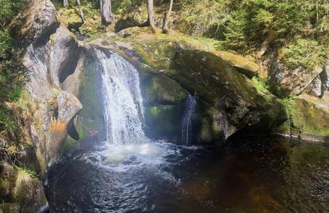 Schwarzwaldstube Alpenblick - Foto 38