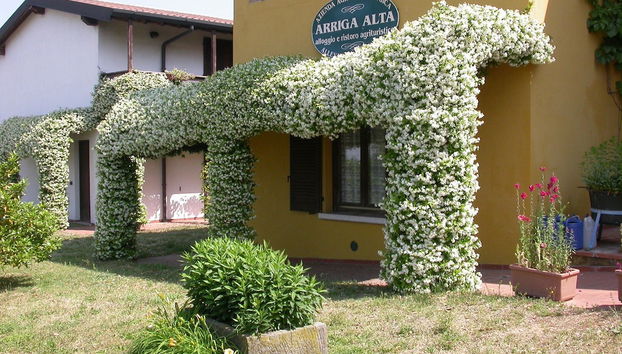 Arriga Alta - Foto 2, Imagen principal