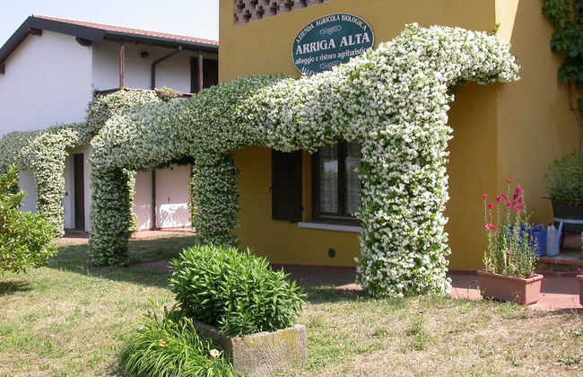 Arriga Alta - Foto 1