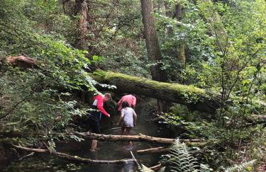 Ceglany Domek w Gryżynie - Foto 24