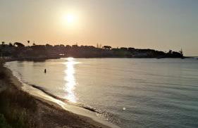 Happy Holiday - Foto 22