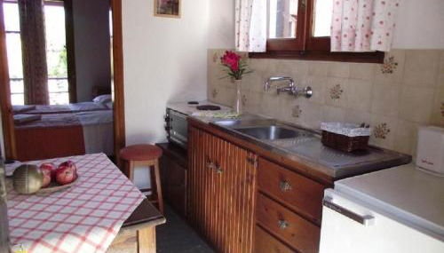 SEAHORSE healing effect - Foto 5