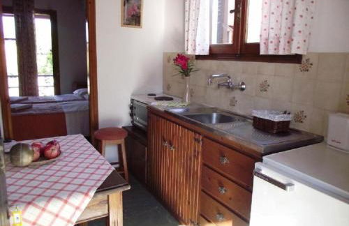 SEAHORSE healing effect - Foto 5