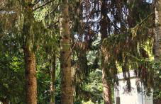 Oasi Verde - Foto 21