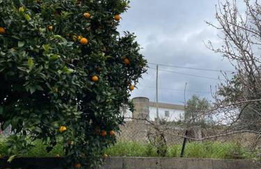 Casa da Celeste - Foto 52