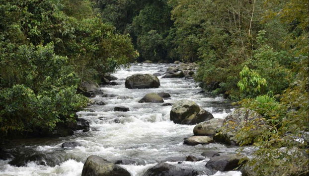 Senderismo por el Santuario Otún Quimbaya - Foto 3, Río Otún