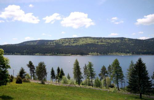 Apartment Peter - Familienurlaub mit Indoorpool - Foto 49