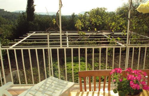 Apartments Jelić - Foto 14