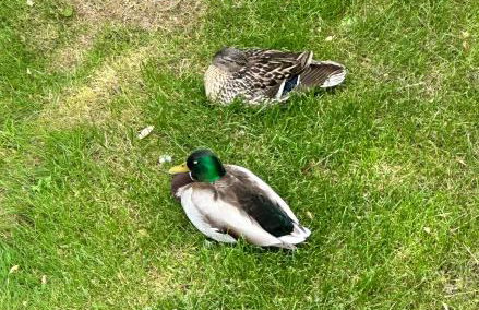 Plitvice Diamond Apartment - Foto 17