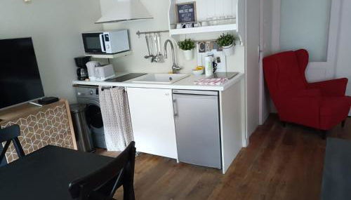 Ancien Atelier Parisien Grand 2 pièces - Foto 5