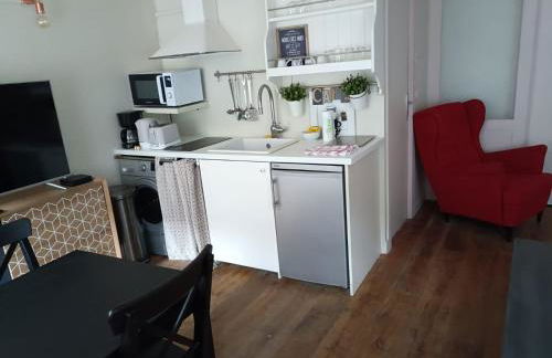 Ancien Atelier Parisien Grand 2 pièces - Foto 5