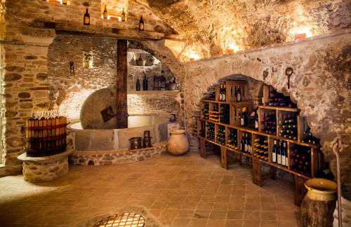 Agriturismo del Pigato - Bio Vio - Foto 59