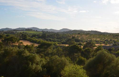 Finca Son Blat - Photo 21