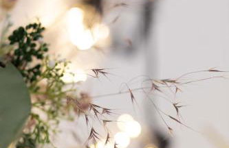 Apartment 54 - 4 Sterne Ferienwohnung in Bad Arolsen - Foto 10