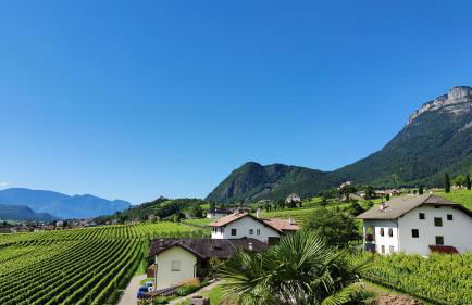 Highlight Apartments - Foto 56