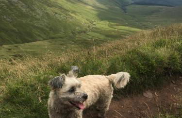 The Bothy at Oak Farm - Foto 35