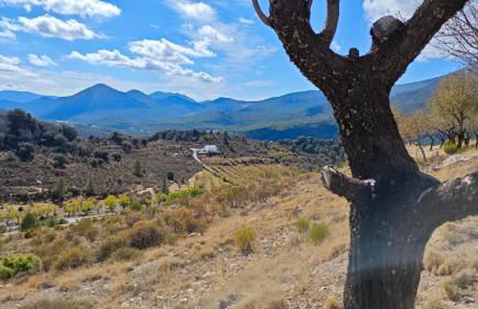 Villa Socorrito - Foto 8