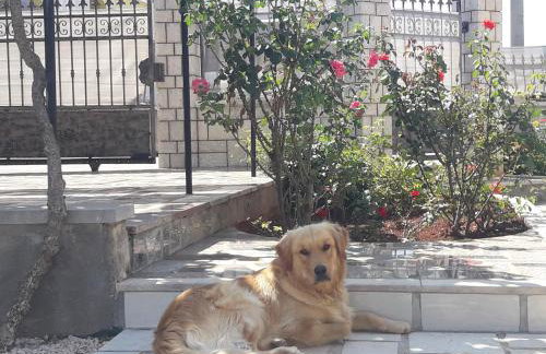 Apartments Angela - Foto 12