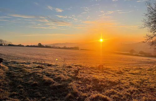 The Cadeleigh - Foto 42