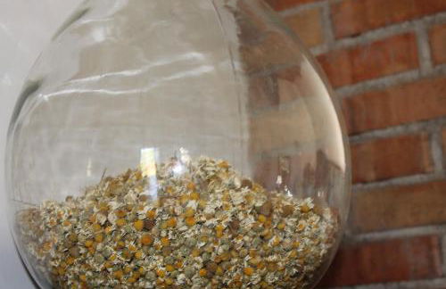 Country House Erba Regina - Foto 98