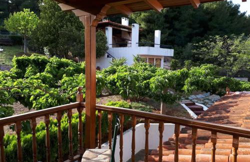 Villa - Farmhouse - Photo 5