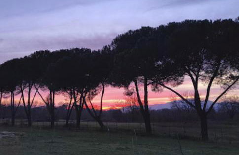 Villa Donnola: casa Rosmarino - Foto 16