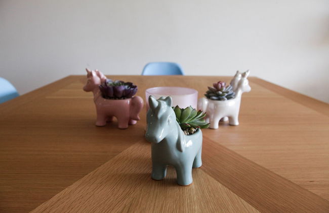 Beautiful Condo 300 Meters To Medano Beach - Foto 14